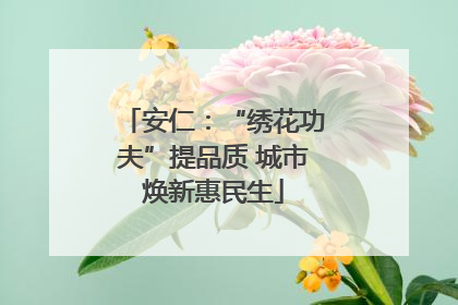 安仁：“绣花功夫”提品质 城市焕新惠民生
